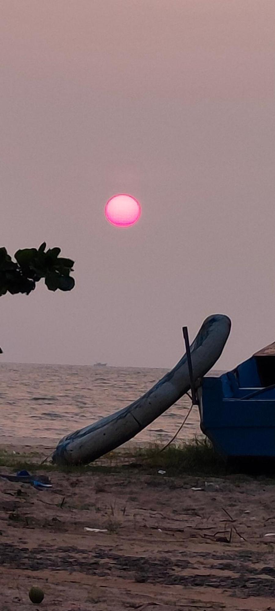 Marari Blue Whale Beach House Alappuzha 外观 照片