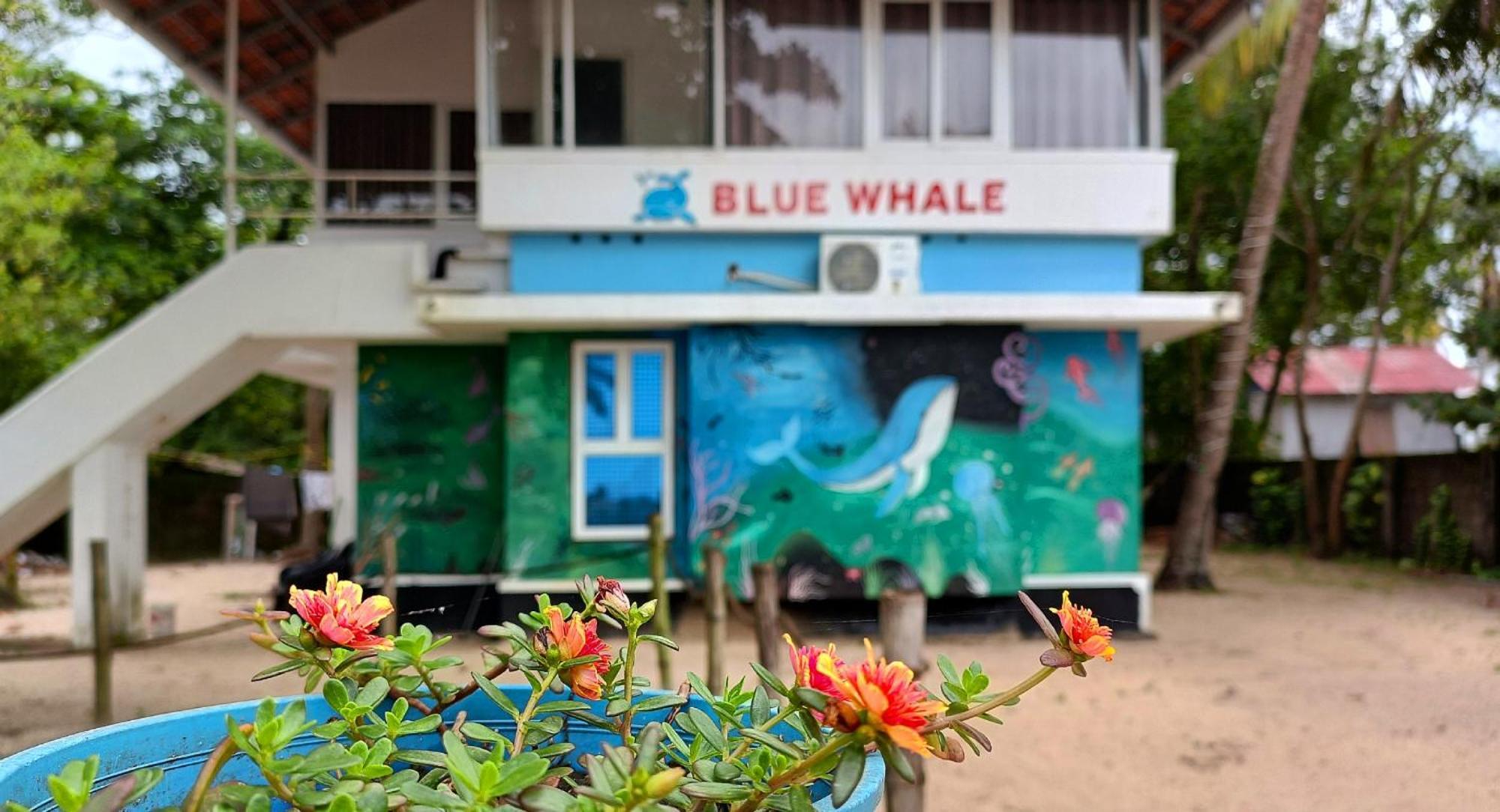 Marari Blue Whale Beach House Alappuzha 外观 照片