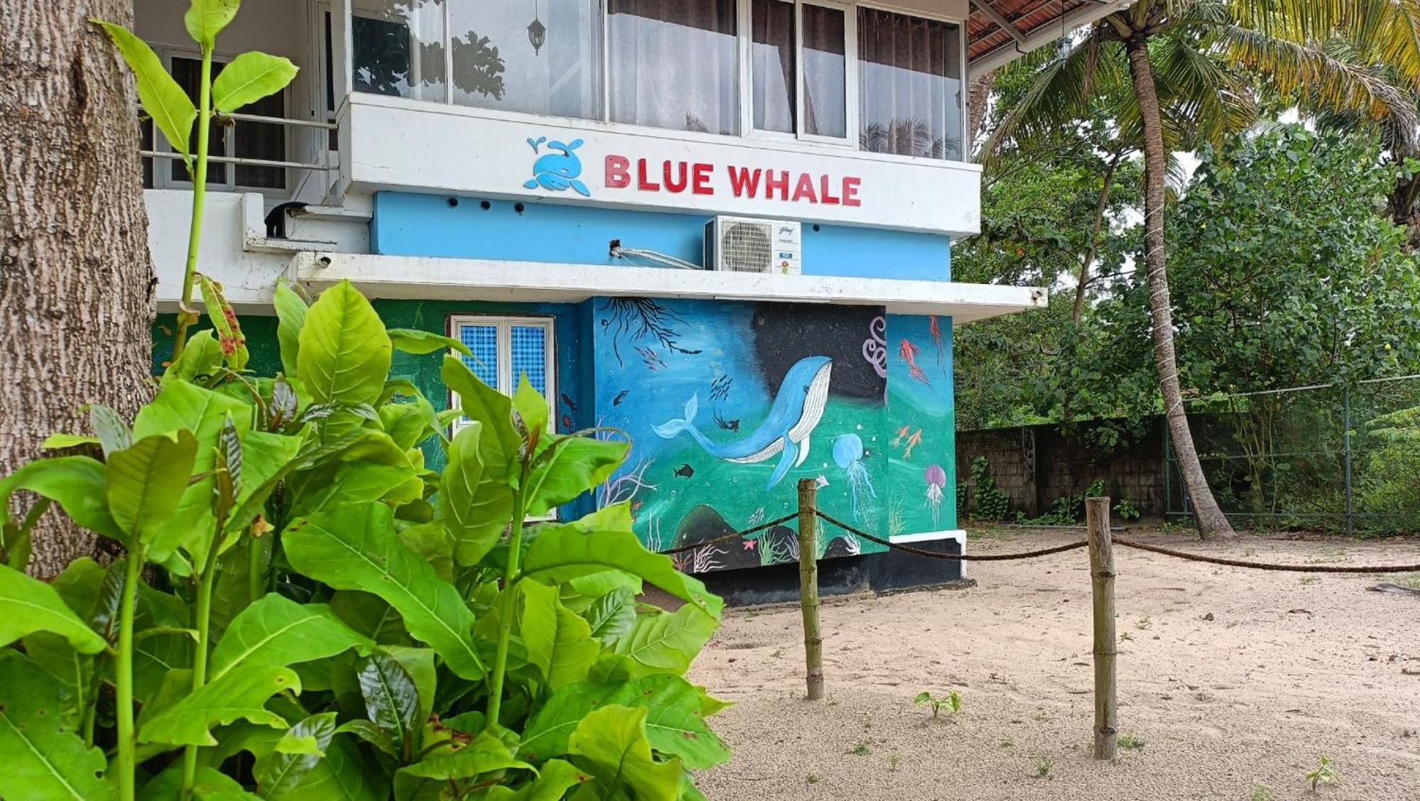 Marari Blue Whale Beach House Alappuzha 外观 照片